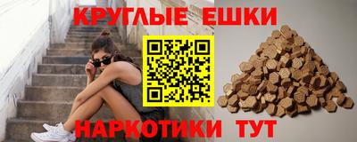 дживик Бийск