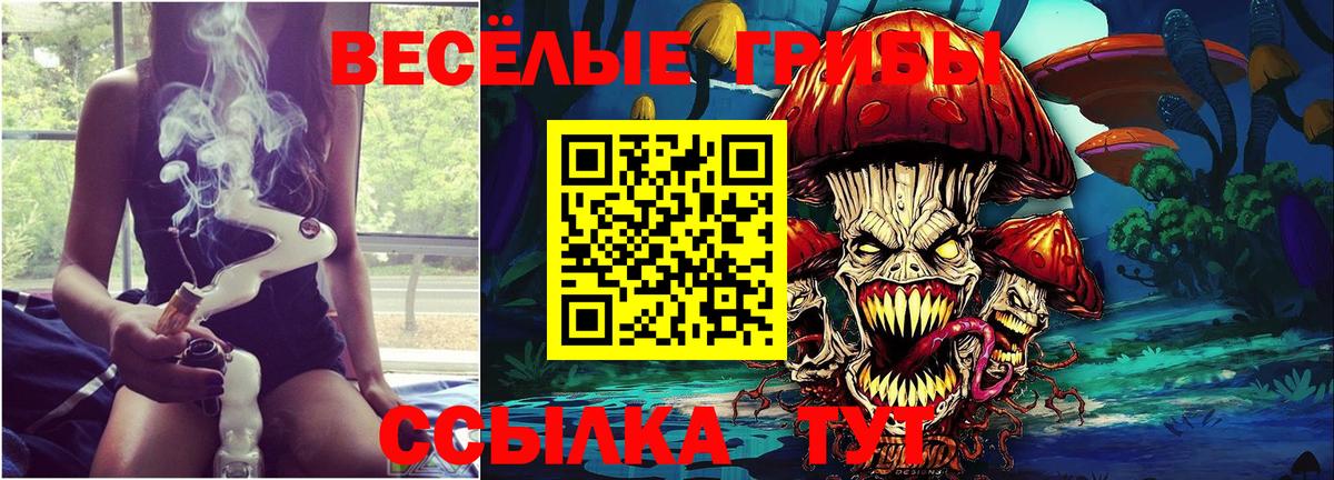 Вичуга  Галлюциногенные грибы Magic Shrooms  Псилоцибиновые грибы ЛСД  Вход с VPN 